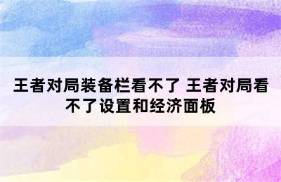 王者对局装备栏看不了 王者对局看不了设置和经济面板